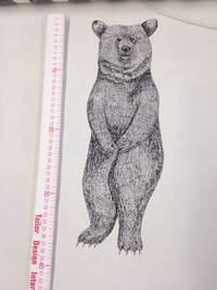 Panel Bär weiß Panel Bär weiß