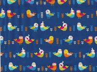 Wellensittich klein blau Wellensittich klein blau
