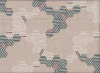 Tayutou Turtle natur Tayutou Turtle natur