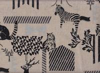 Echino Habitat natur Echino Habitat natur