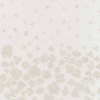 nani IRO Peaceful cooing F nani IRO Peaceful cooing F