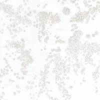 nani IRO Lei nani D nani IRO Lei nani D