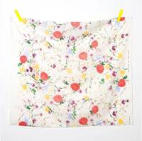 nani IRO rakuen A nani IRO rakuen A