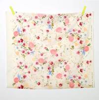 nani IRO rakuen B nani IRO rakuen B