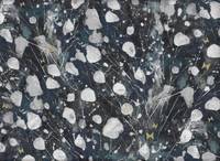 Cotton+Steel Kasumisou Indigo Cotton+Steel Kasumisou Indigo