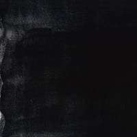 nani IRO Peinture à l'eauⅠSATIN nani IRO Peinture à l'eauⅠSATIN