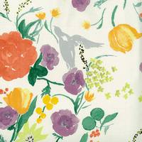 nani IRO Fuccra rakuen Phi Phi nani IRO Fuccra rakuen Phi Phi