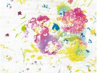 nani IRO ENCOUNTER A organic double gauze nani IRO ENCOUNTER A organic double gauze
