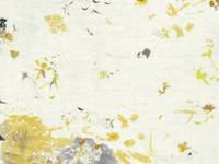 nani IRO ENCOUNTER B organic double gauze nani IRO ENCOUNTER B organic double gauze