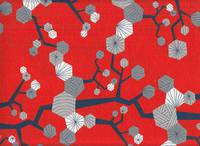 Tayutou Tree habanero Tayutou Tree habanero