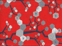 Tayutou Tree habanero Tayutou Tree habanero