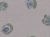 Kreise grau grün Kreise grau grün