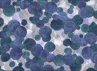 Cherry dots blue Cherry dots blue