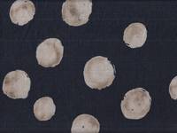 Punkte navy Punkte navy