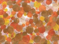 Cherry dots orange Cherry dots orange