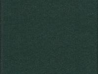 uni grün Glitzer uni grün Glitzer