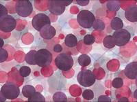 Cherry dots purple