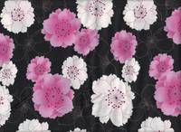 Chrysanthemen groß schwarz Chrysanthemen groß schwarz