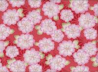 Sakura groß rot Sakura groß rot