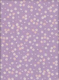 Sakura klein flieder Sakura klein flieder