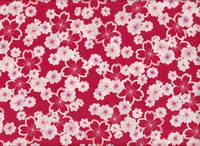Sakura rot Sakura rot