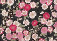 Sakura schwarz Sakura schwarz