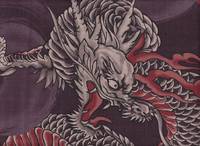 Drachen groß lila Drachen groß lila