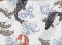 Koi & Matsu weiß Koi & Matsu weiß