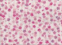 Shidaresakura weiß Shidaresakura weiß