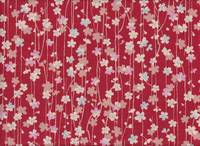 Shidaresakura rot Shidaresakura rot