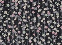 Shidaresakura schwarz Shidaresakura schwarz