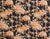 Kisshyou yukimachi take schwarz Kisshyou yukimachi take schwarz