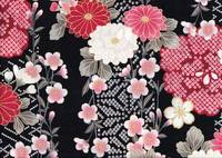 Hikida shynjyu Hikida shynjyu