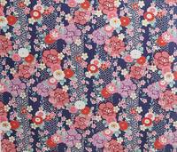 Hikida shynjyu Hikida shynjyu