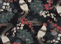 Onagadori schwarz Onagadori schwarz