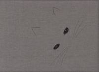 Katzen grau Katzen grau