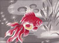 Goldfisch groß grau Goldfisch groß grau
