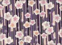 Ume Tatejima murasaki Ume Tatejima murasaki