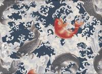Koi blau Koi blau
