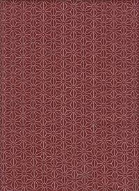 Asanoha rot Asanoha rot