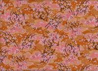 Kirschbaum orange Kirschbaum orange