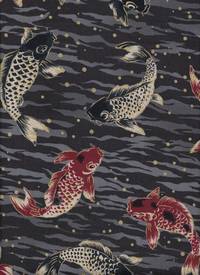 Koi schwarz Koi schwarz