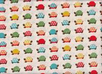 Schildkröte weiß Schildkröte weiß