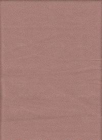 Samekomon sakura Samekomon sakura