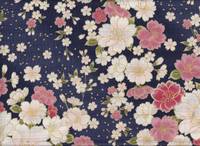 Sakura groß blau Sakura groß blau