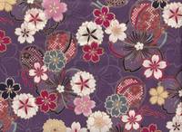 Sakura lila Sakura lila