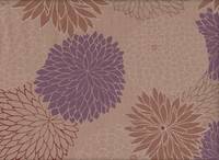 Chrysanthemen groß beige Chrysanthemen groß beige