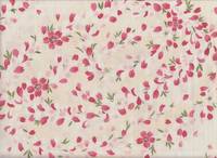 Sakura Blütenblätter creme Sakura Blütenblätter creme