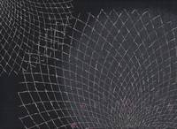 Chrysanthemen groß schwarz Chrysanthemen groß schwarz