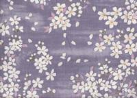 Sakura flieder Sakura flieder